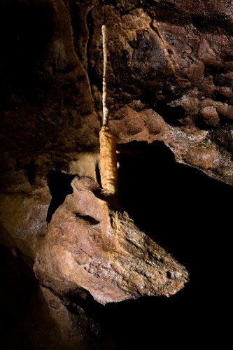 Grotte de Labouiche (Ariège) - la "Licorne" (SP-23-1702)
